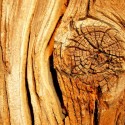 drewno-konstrukcyjne01
