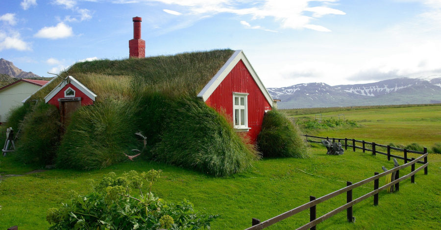 Dom obrośnięty trawą
